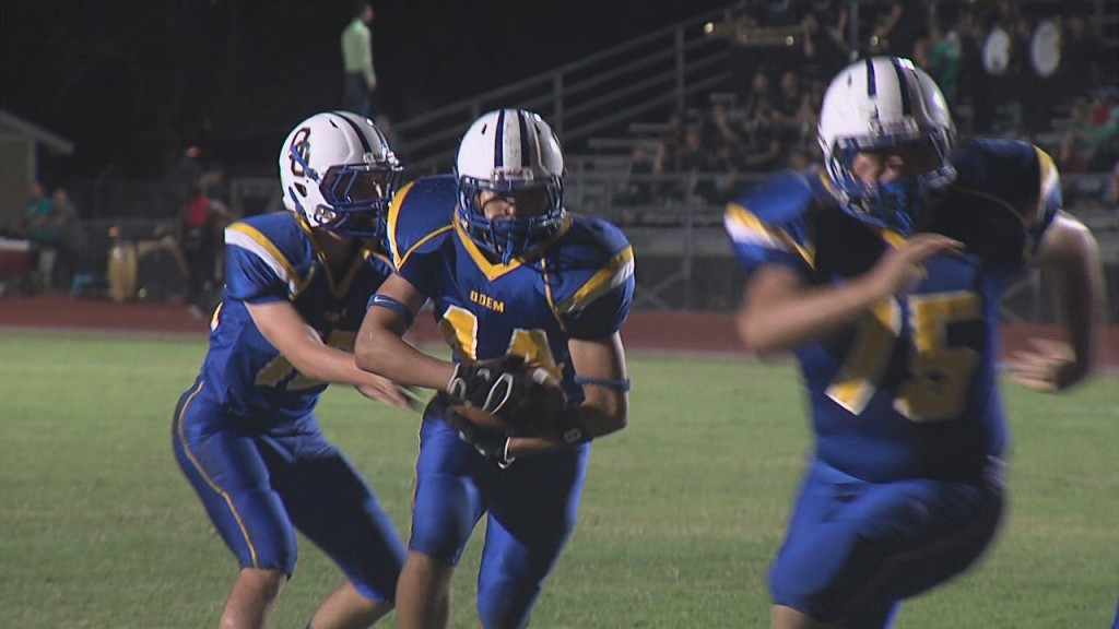 Odem Owls
