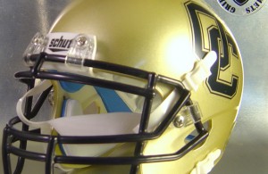 Northside O’Connor Panthers 2006-2009 Mini-Helmet
