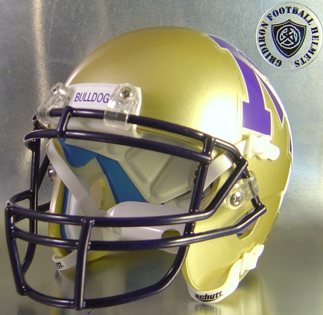 Midland Bulldogs 2014-2015 Mini-Helmet