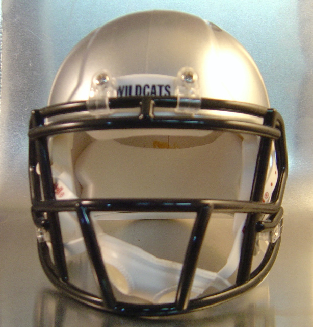 Paris Wildcats 2013 Mini-Helmet