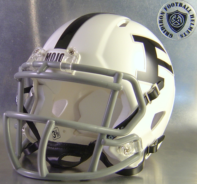 Permian Panthers 2005-2015 Mini-Helmet