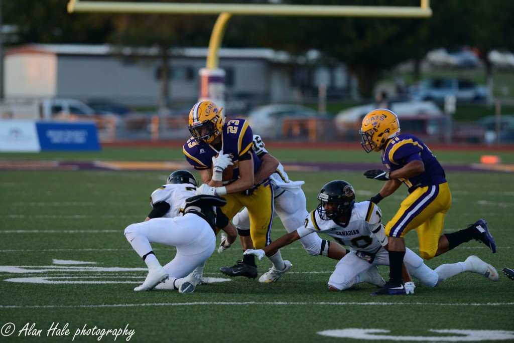 Alan Hale Photography