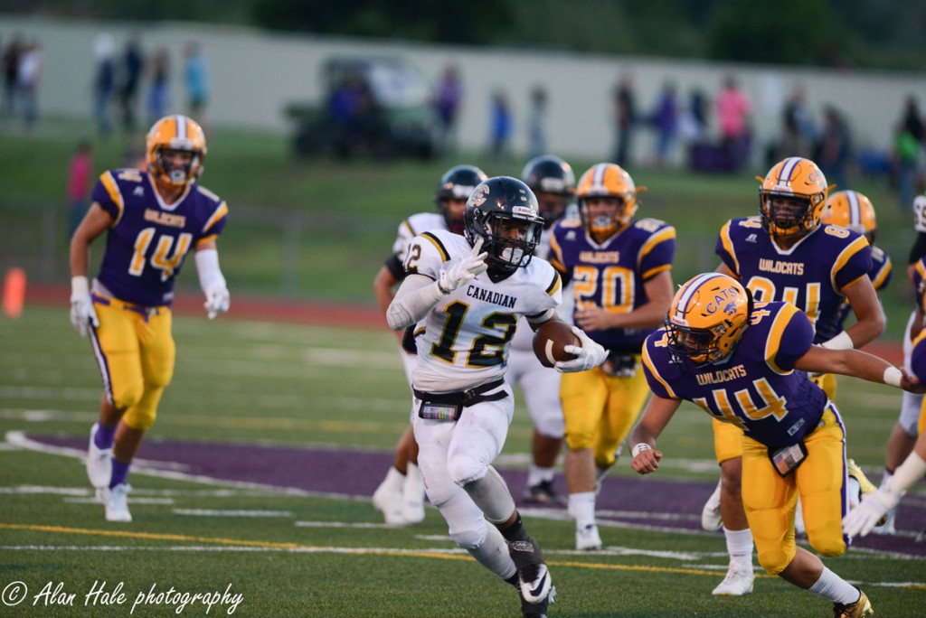 Alan Hale Photography