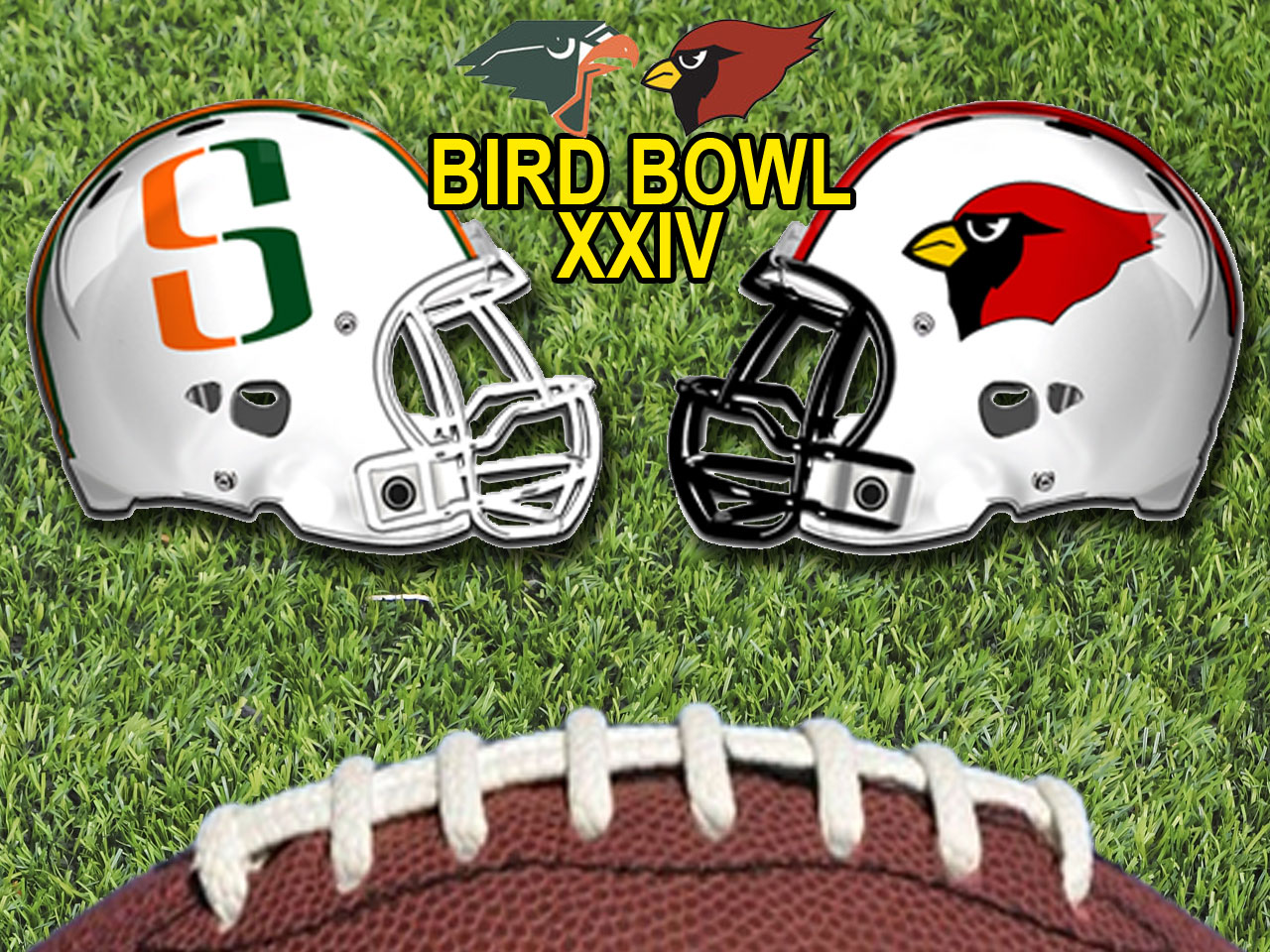 Bird Bowl XXXIV