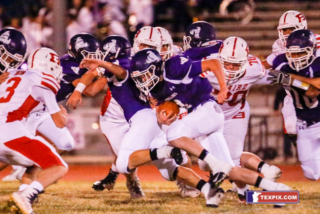 Baird at Cross Plains