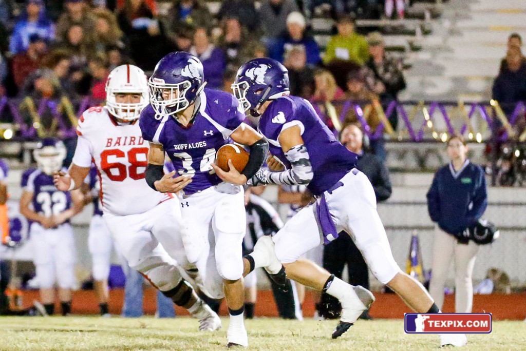 Baird at Cross Plains