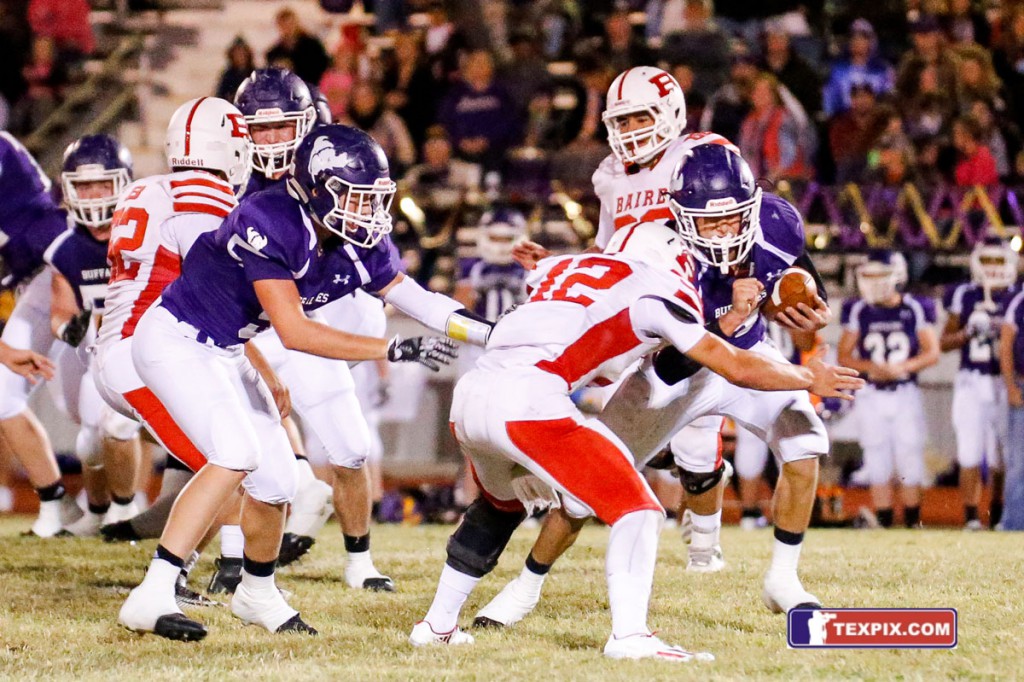 Baird at Cross Plains