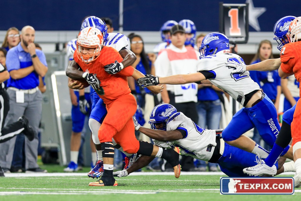 Tommy Hays/TEXPIX.COM