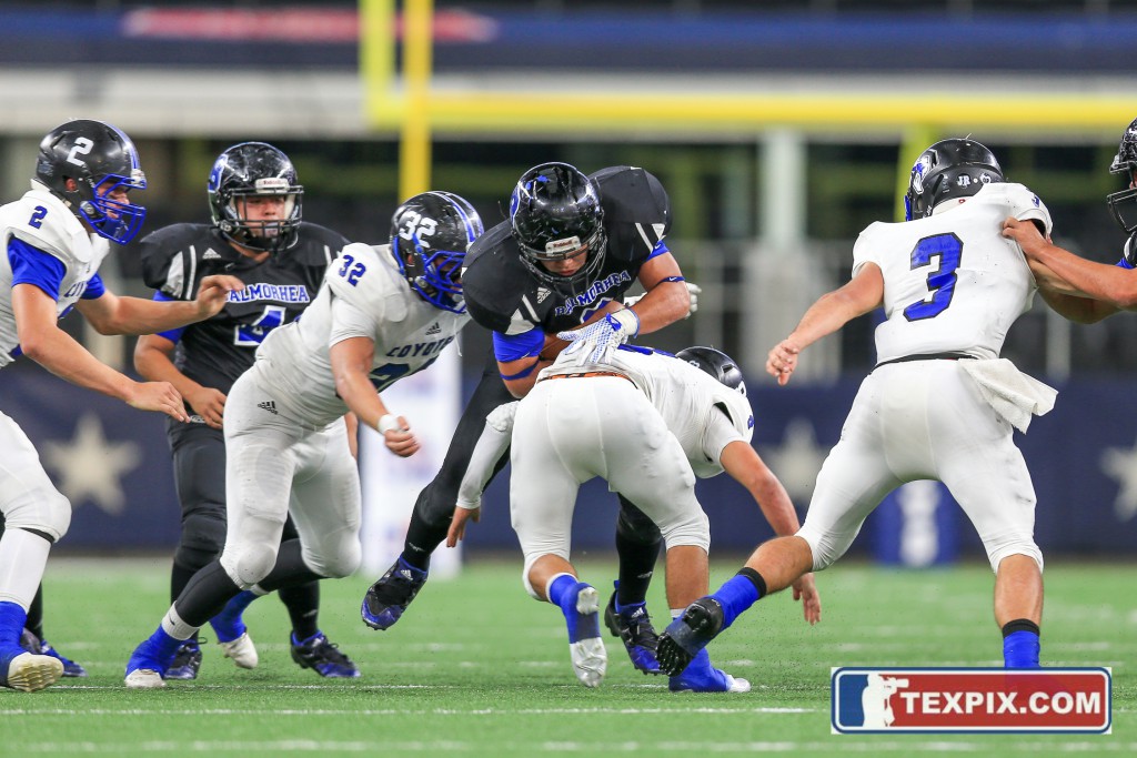 Tommy Hays/TEXPIX.COM