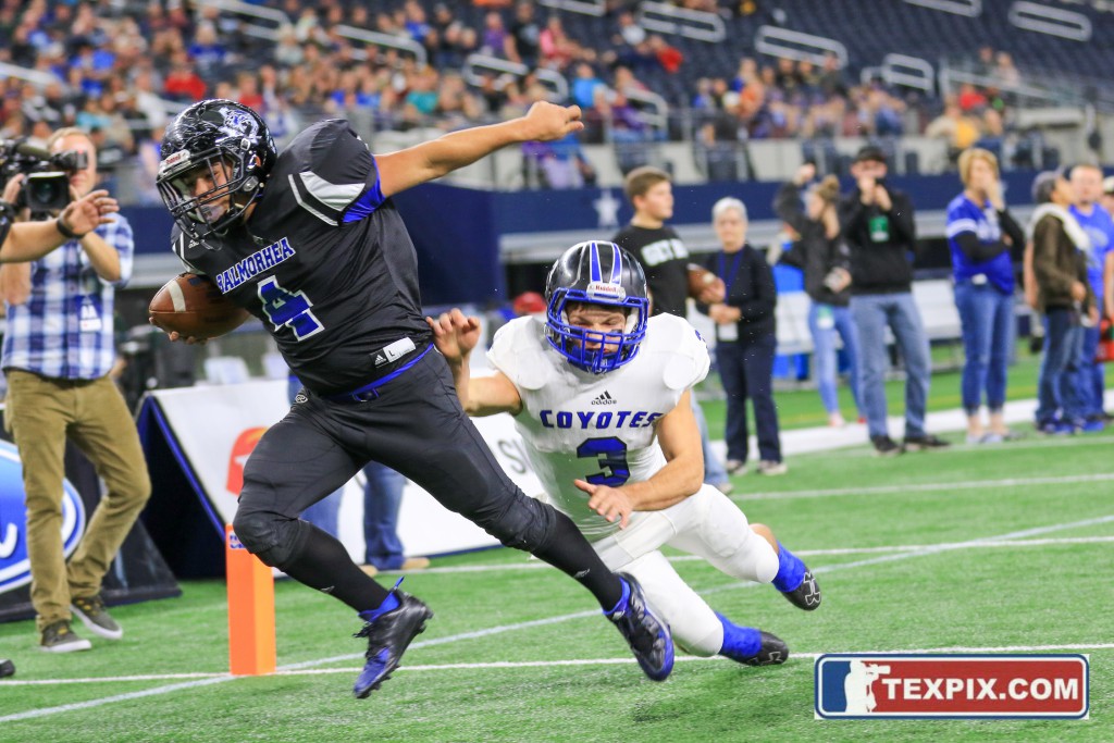 Tommy Hays/TEXPIX.COM