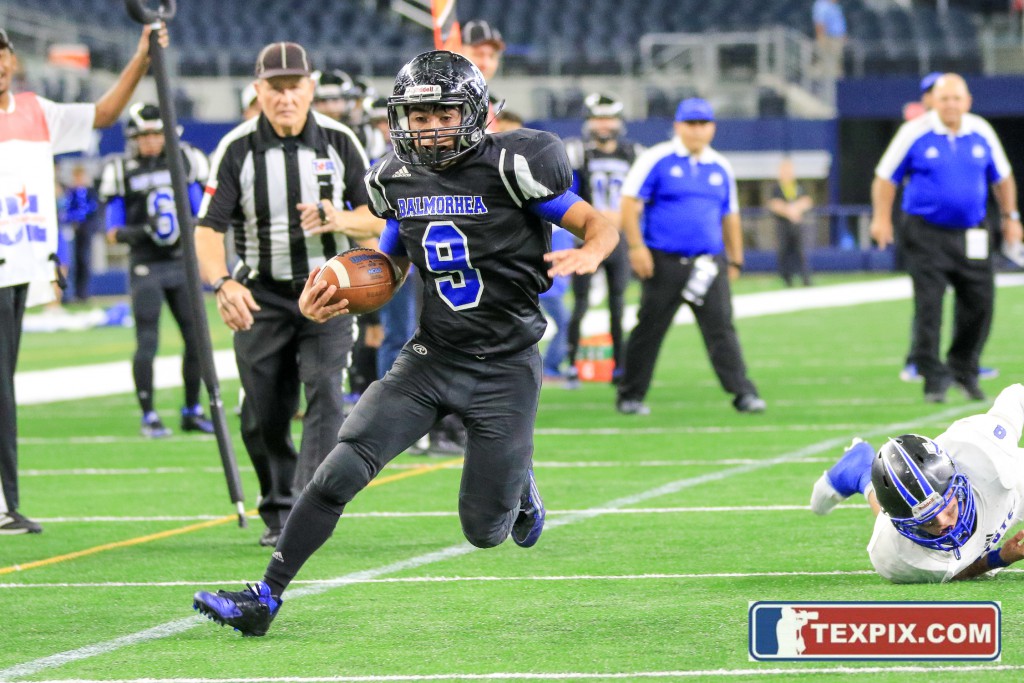 Tommy Hays/TEXPIX.COM